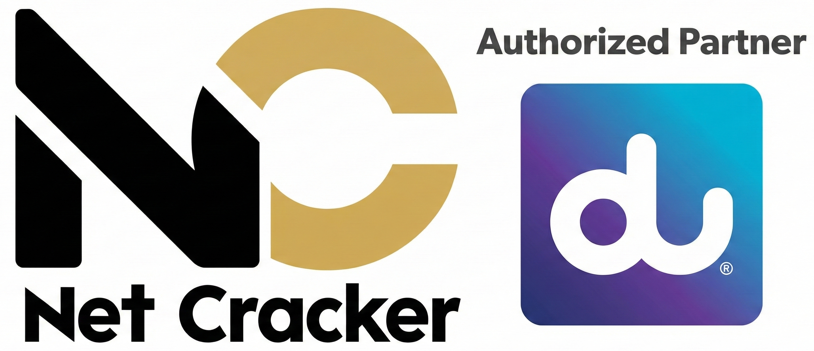 Net Cracker